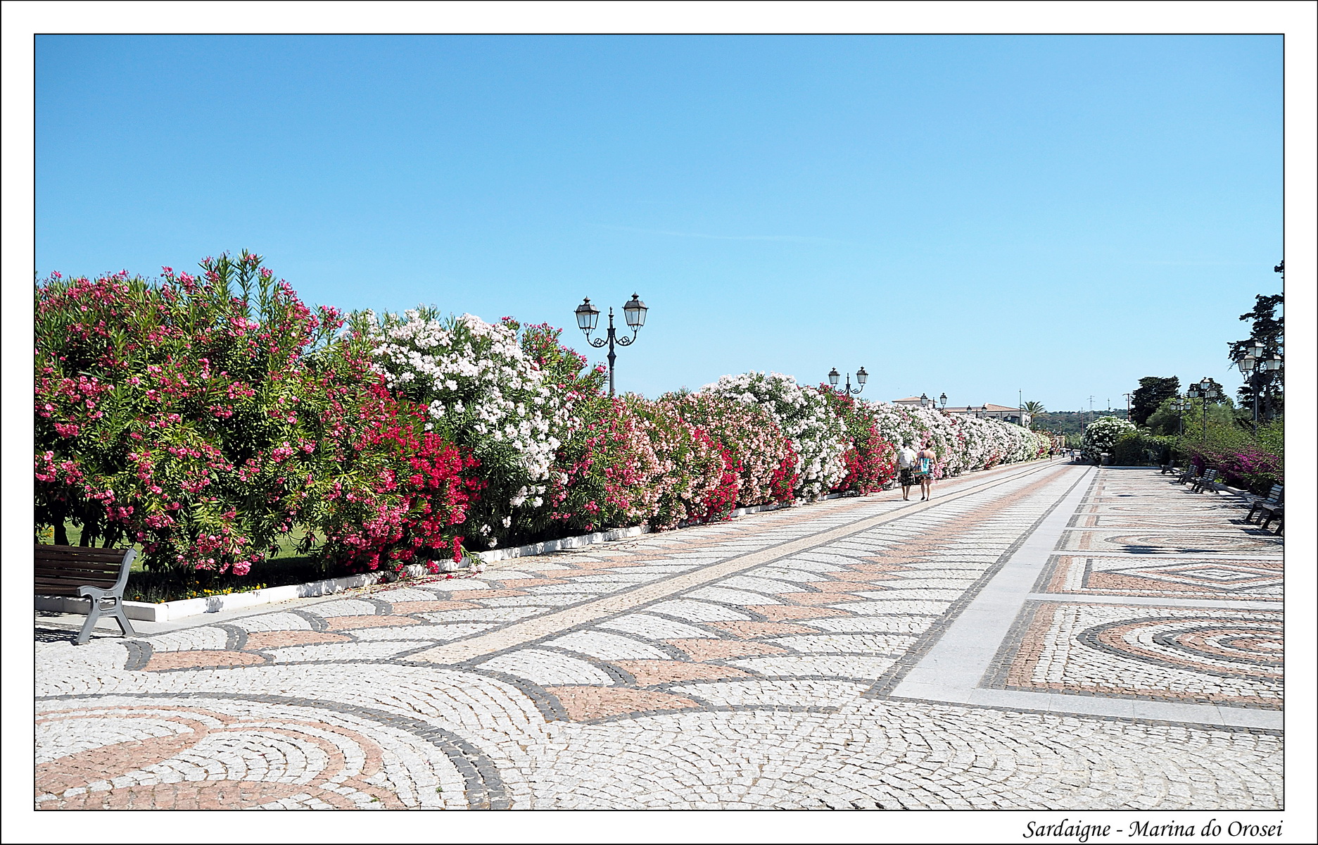2017   05   Sardaigne   Marina orosei   04
